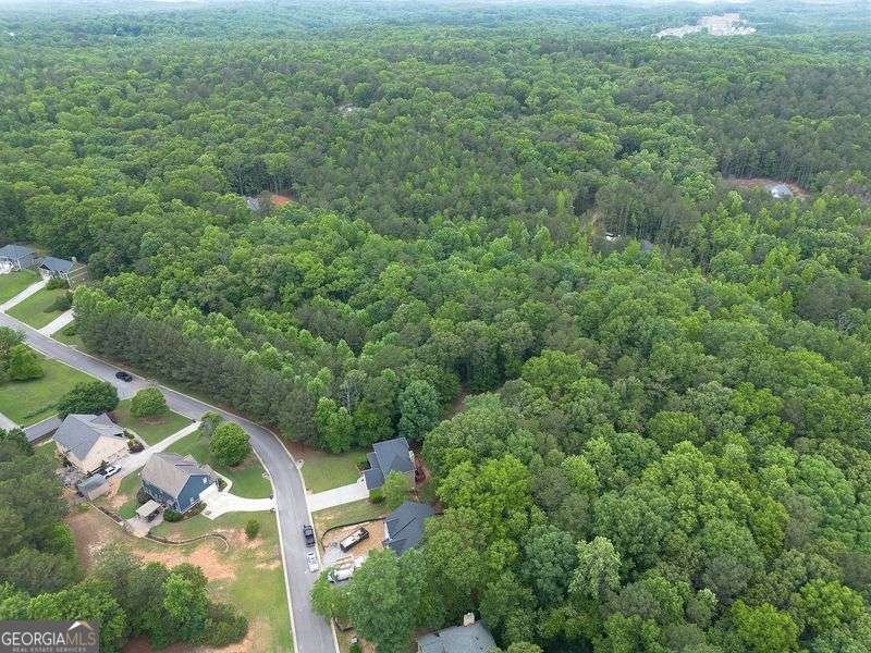 305 Birchwood Farms Lane Dallas - Photo 39