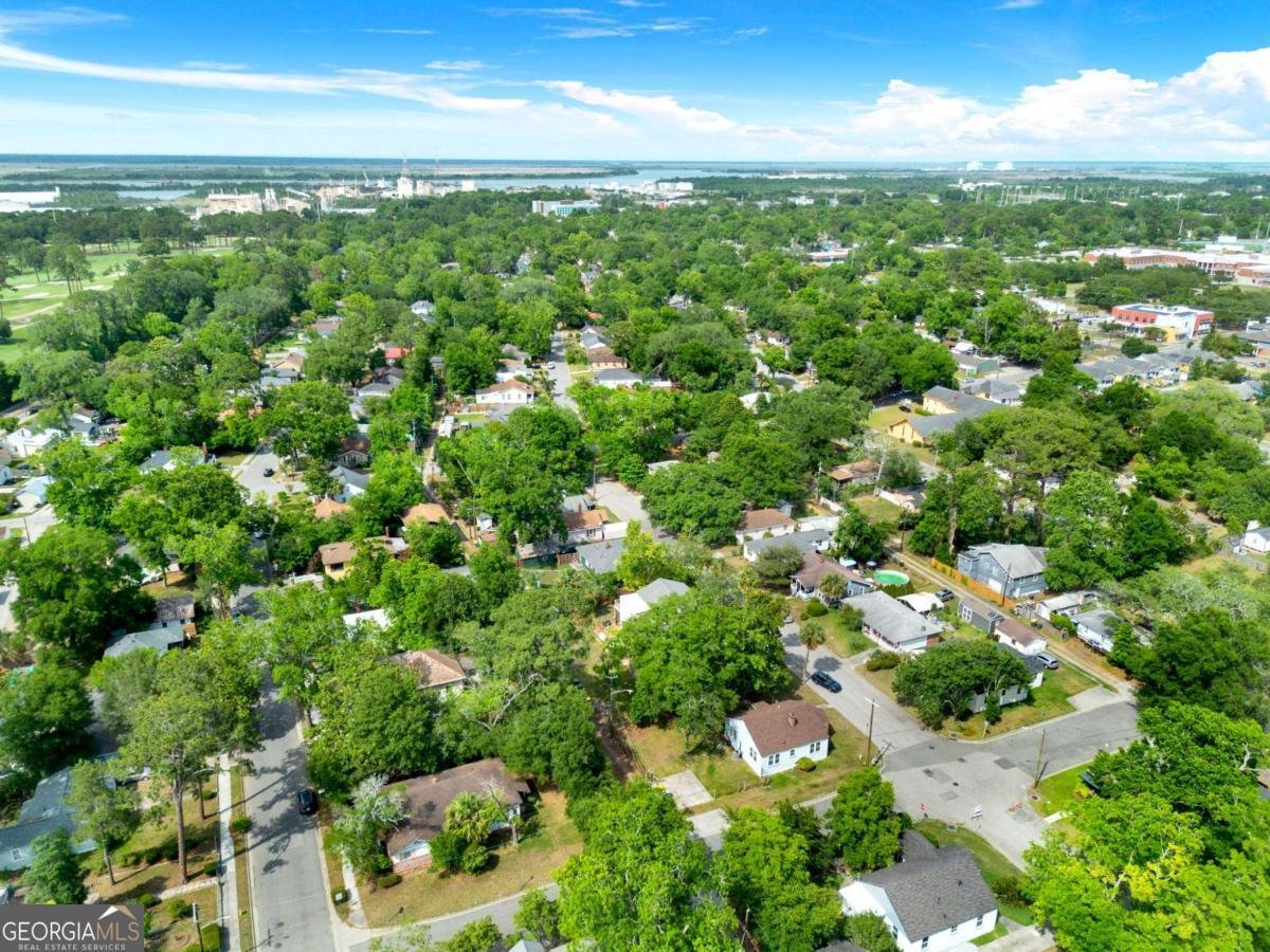 325 Forrest Avenue Savannah - Photo 37