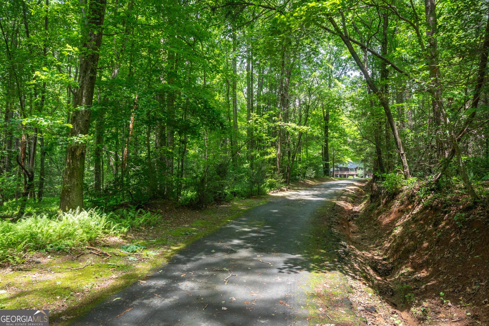 744 Skylake Road Sautee Nacoochee - Photo 52