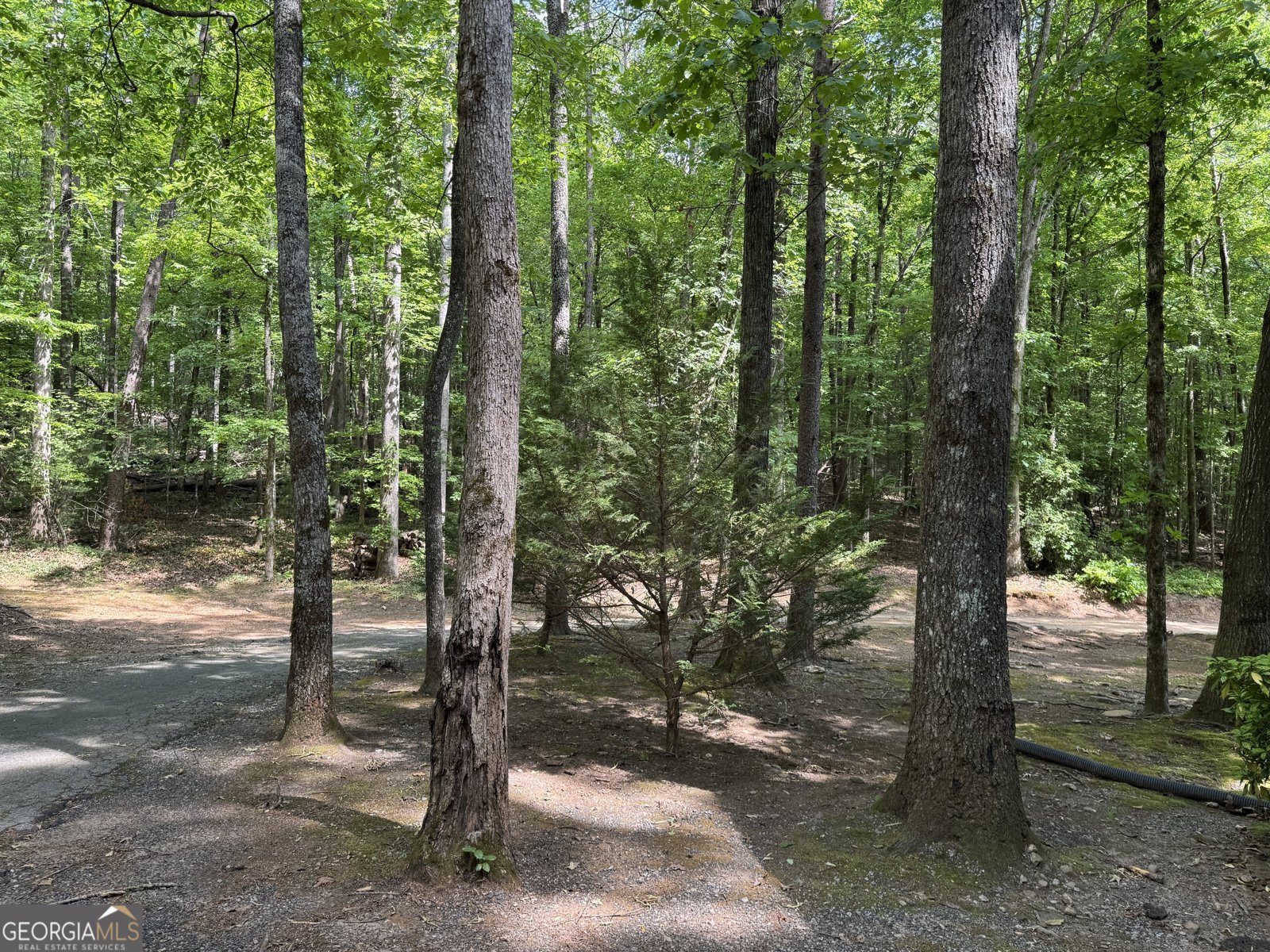 744 Skylake Road Sautee Nacoochee - Photo 8