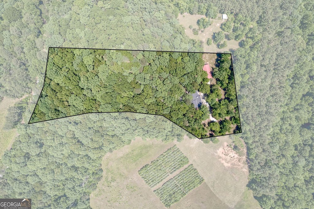 230 Haynes Road Moreland - Photo 36