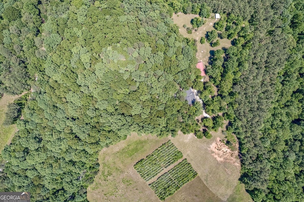 230 Haynes Road Moreland - Photo 37