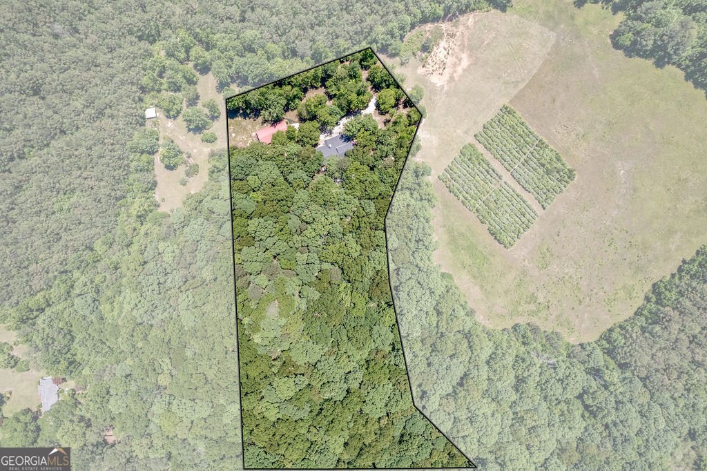 230 Haynes Road Moreland - Photo 38