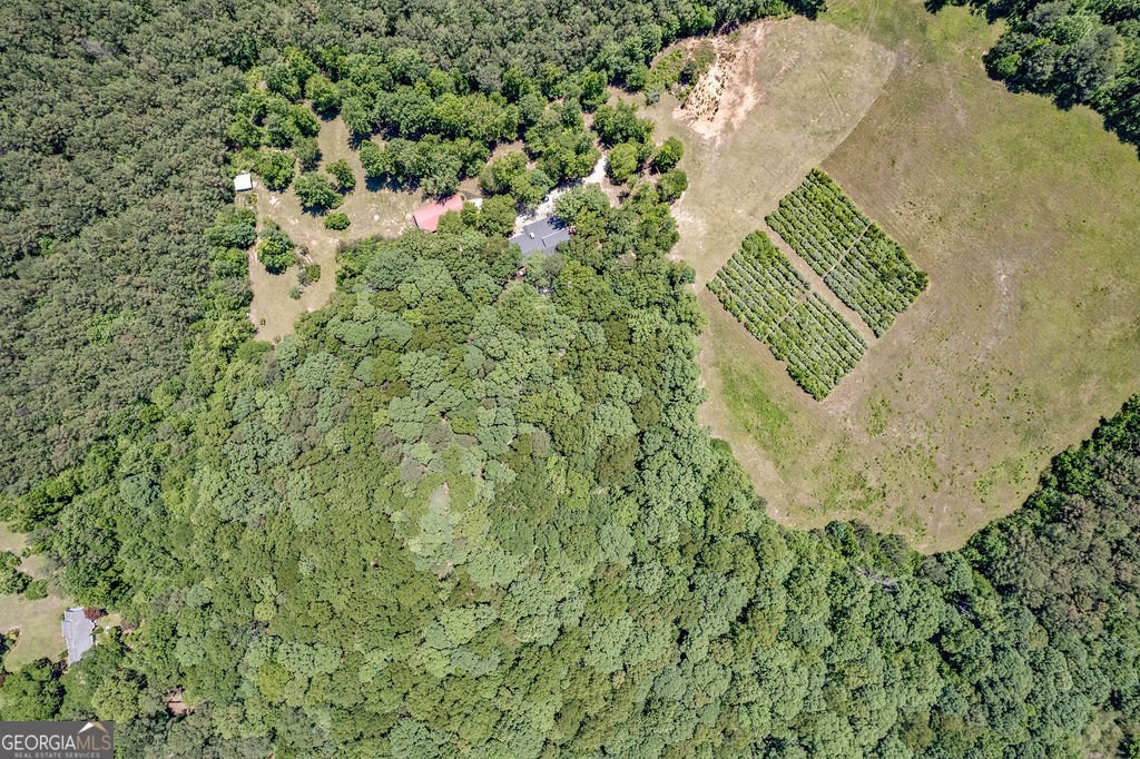 230 Haynes Road Moreland - Photo 39