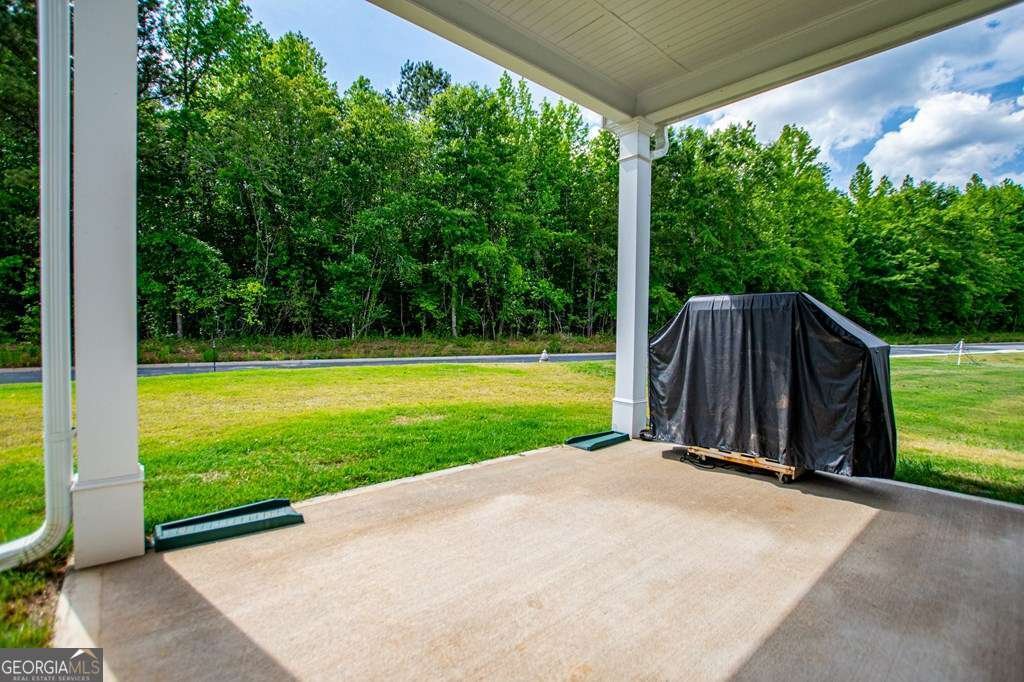 221 Asher Drive Carrollton - Photo 34