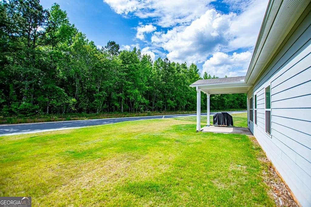 221 Asher Drive Carrollton - Photo 35