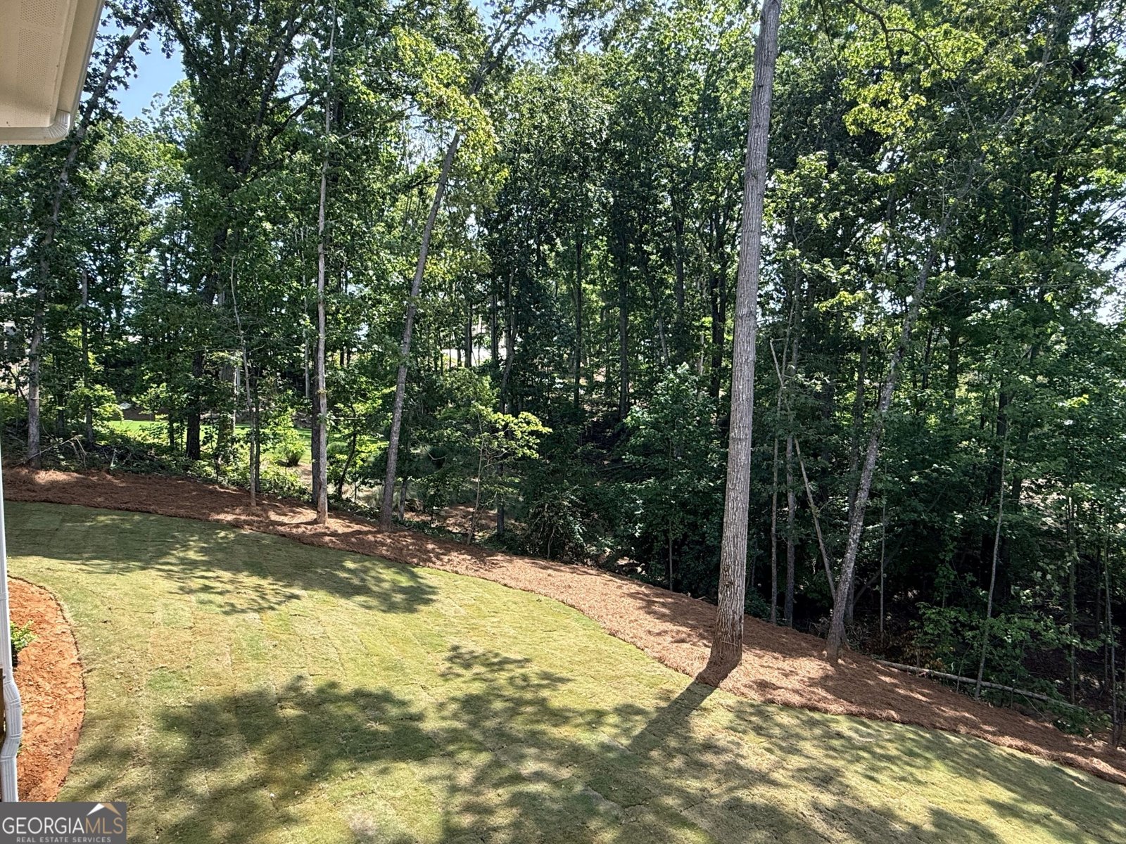 6793 Winding Canyon Road Flowery Branch - Photo 58