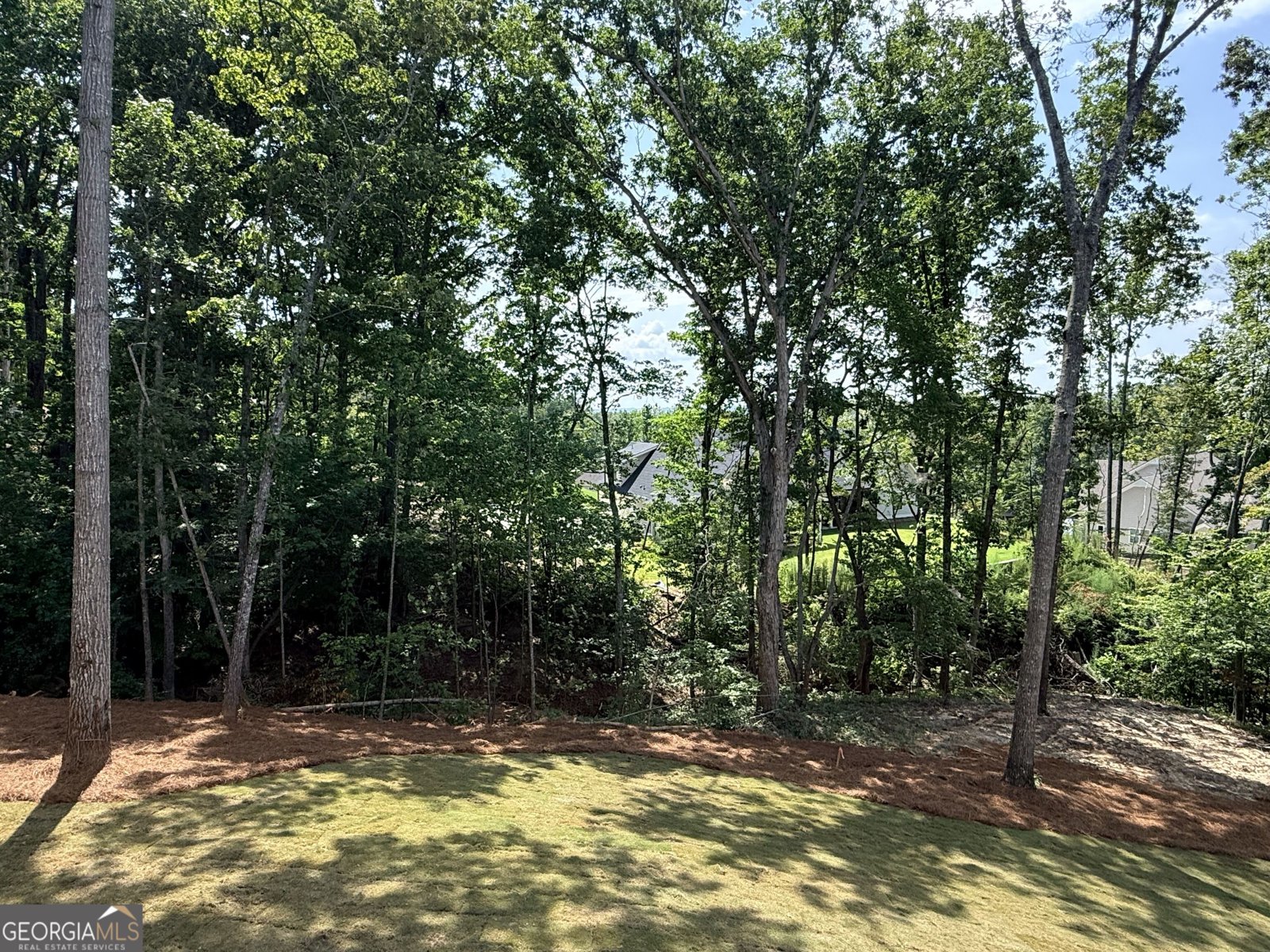 6793 Winding Canyon Road Flowery Branch - Photo 59