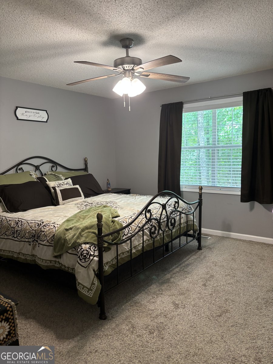 3009 Lakeview Parkway Villa Rica - Photo 14
