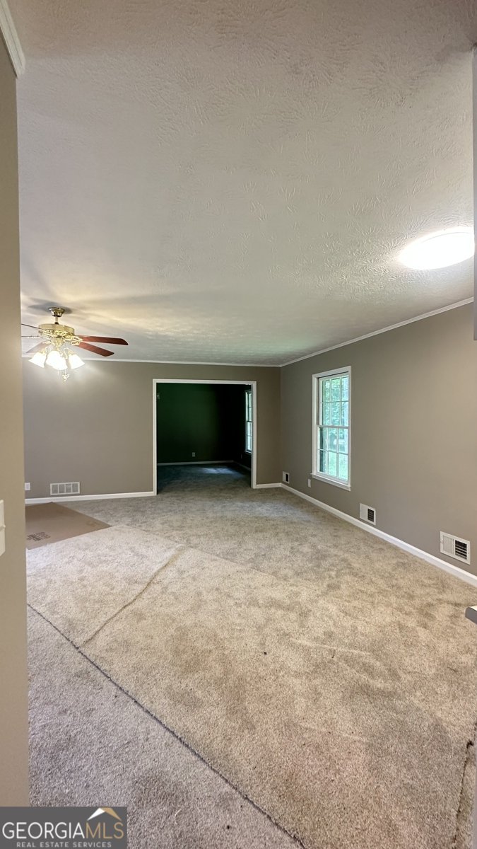 14 Bittersweet Lane Newnan - Photo 10