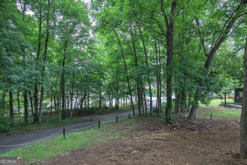 24 Allatoona Landing Lot 3 Road Cartersville - Photo 31