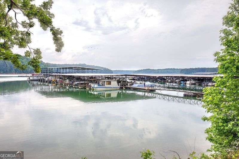 24 Allatoona Landing Lot 3 Road Cartersville - Photo 40