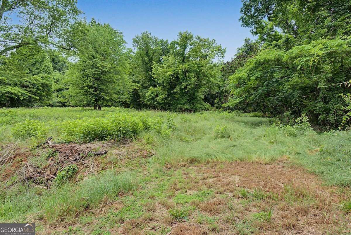 2115 Kings Road Dalton - Photo 43