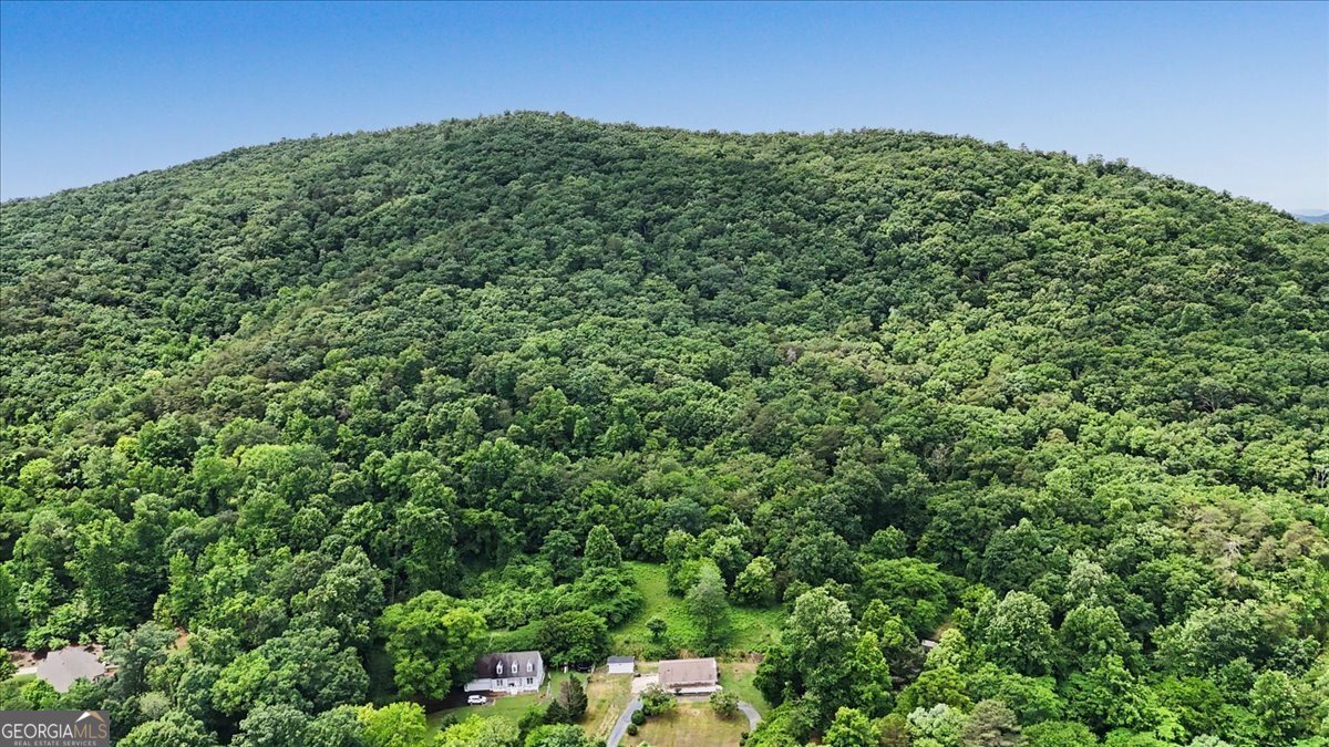 2115 Kings Road Dalton - Photo 51