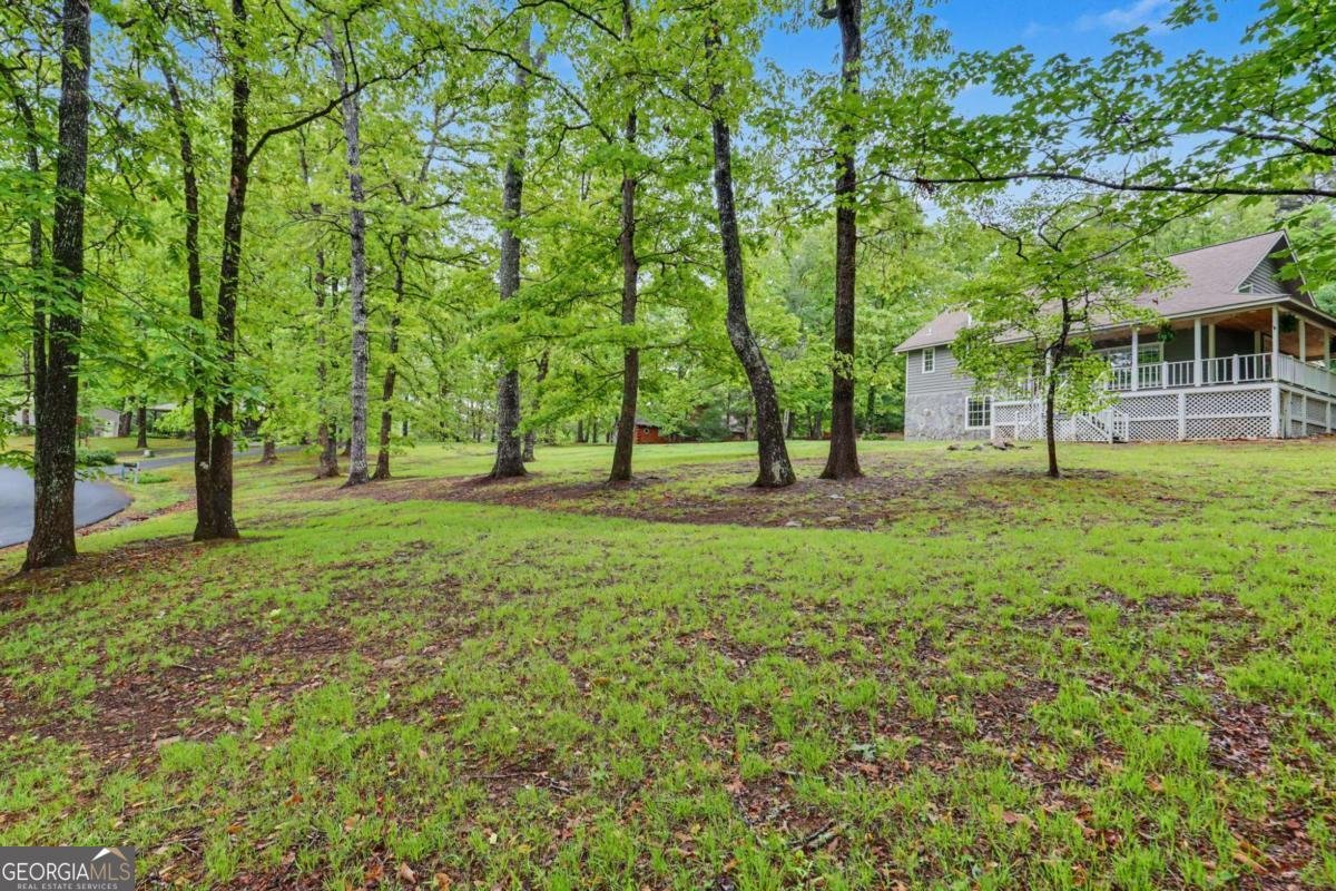 298 Notla Vista Blairsville - Photo 62