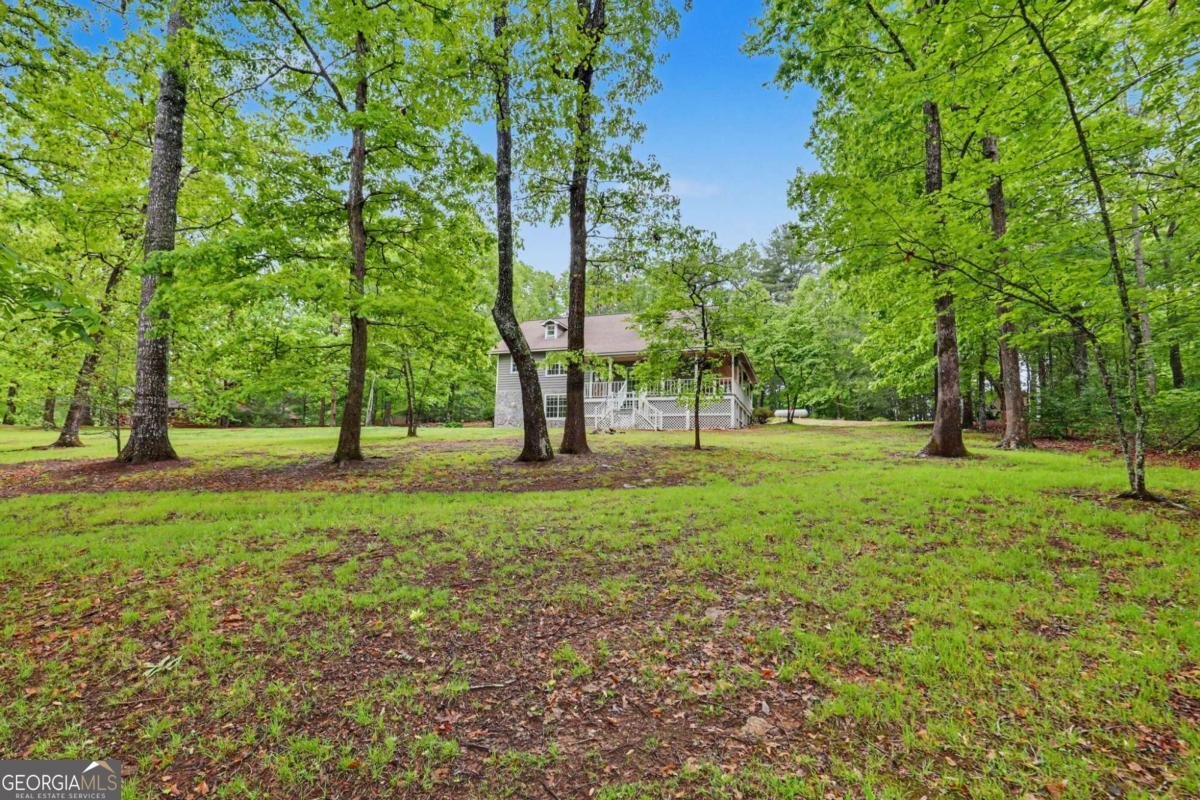 298 Notla Vista Blairsville - Photo 64