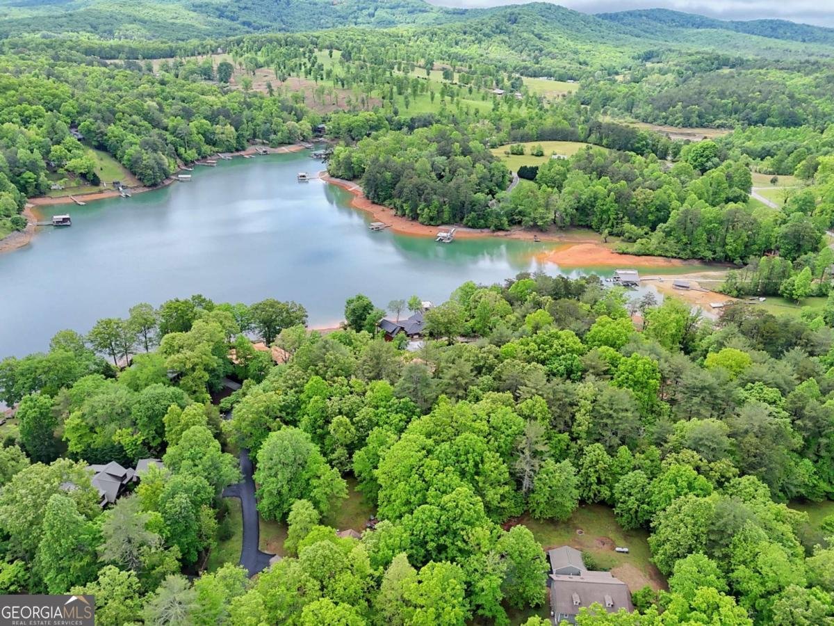 298 Notla Vista Blairsville - Photo 78