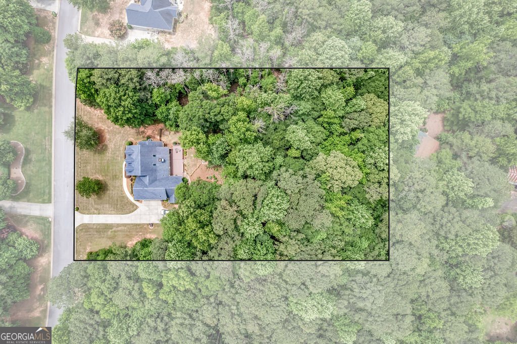 49 Cherokee Farms Drive Newnan - Photo 35