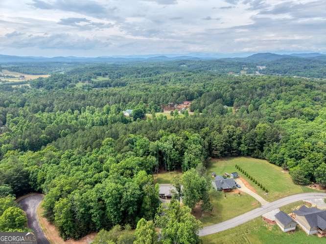 35 Prospect Road Blairsville - Photo 39
