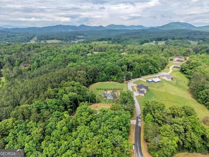 35 Prospect Road Blairsville - Photo 40