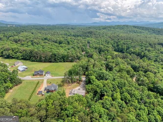 35 Prospect Road Blairsville - Photo 41