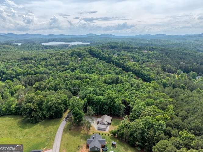 35 Prospect Road Blairsville - Photo 42