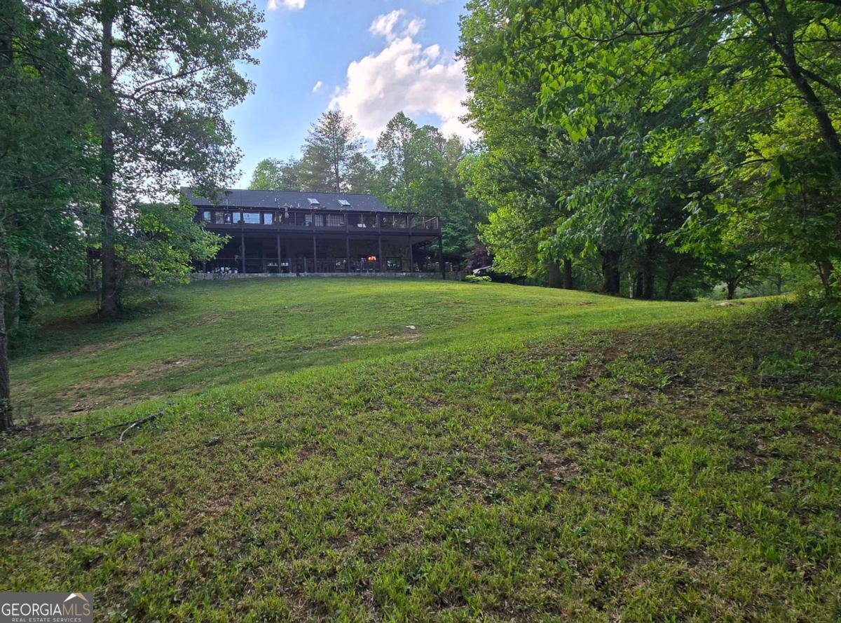 3800 Cutcane Road Mineral Bluff - Photo 10