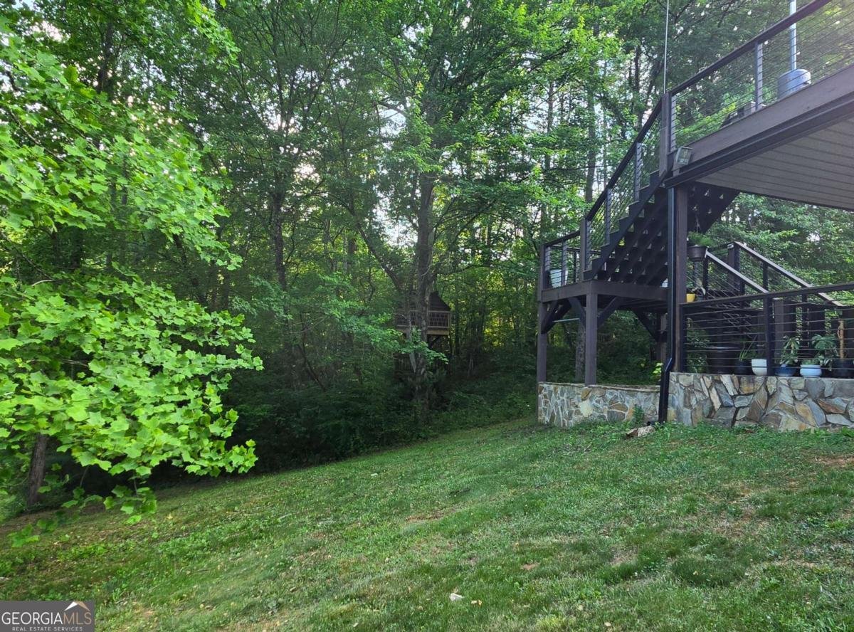 3800 Cutcane Road Mineral Bluff - Photo 11