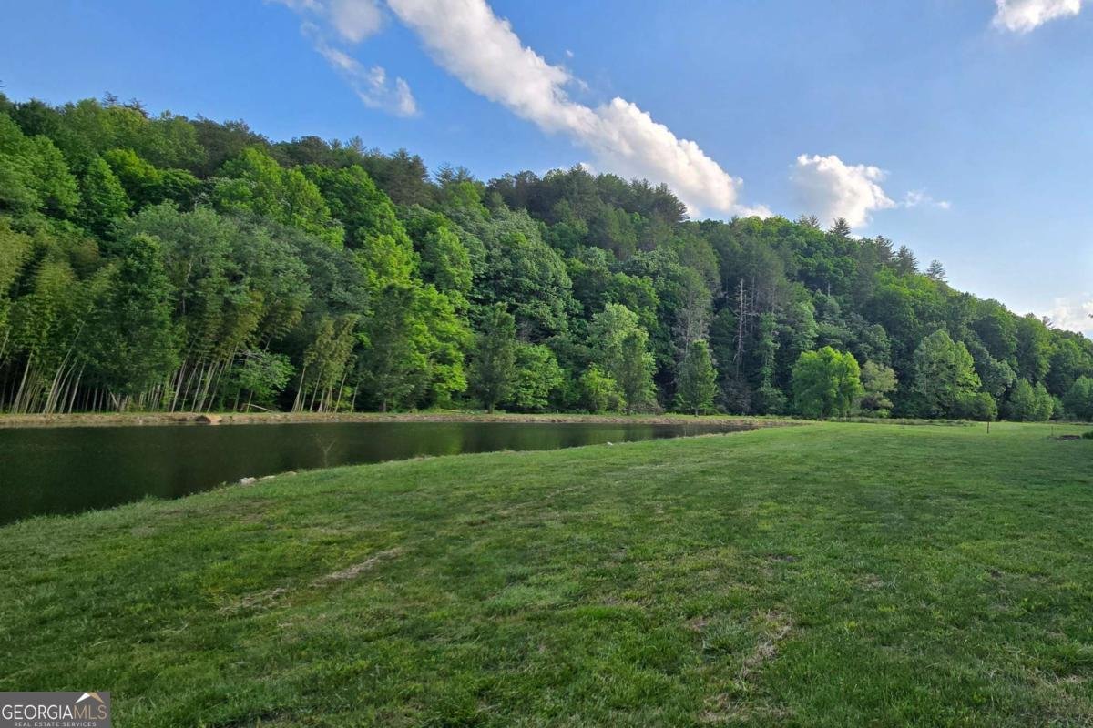 3800 Cutcane Road Mineral Bluff - Photo 12