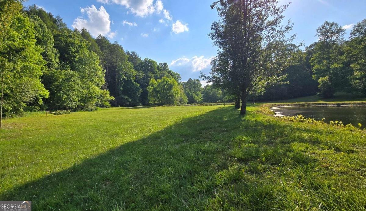 3800 Cutcane Road Mineral Bluff - Photo 6