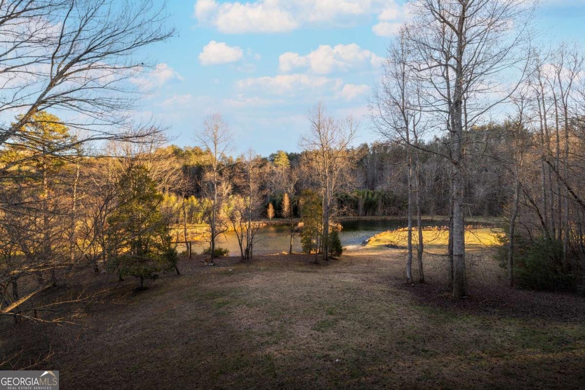3800 Cutcane Road Mineral Bluff - Photo 66