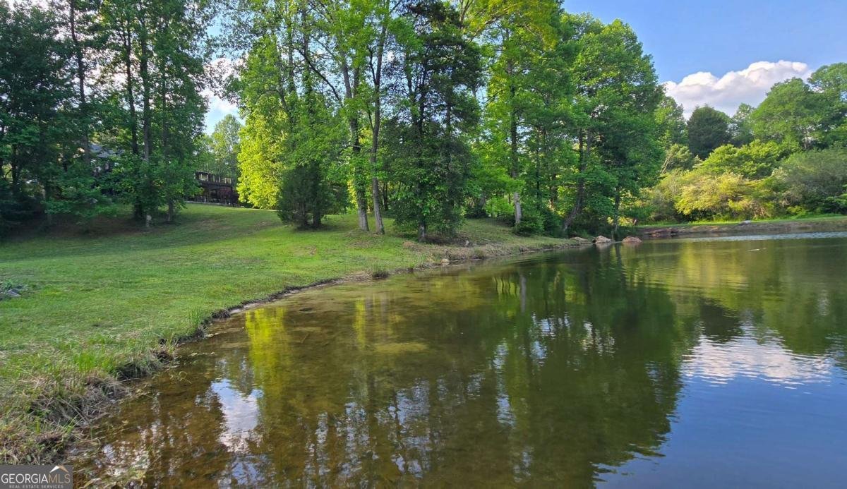 3800 Cutcane Road Mineral Bluff - Photo 7