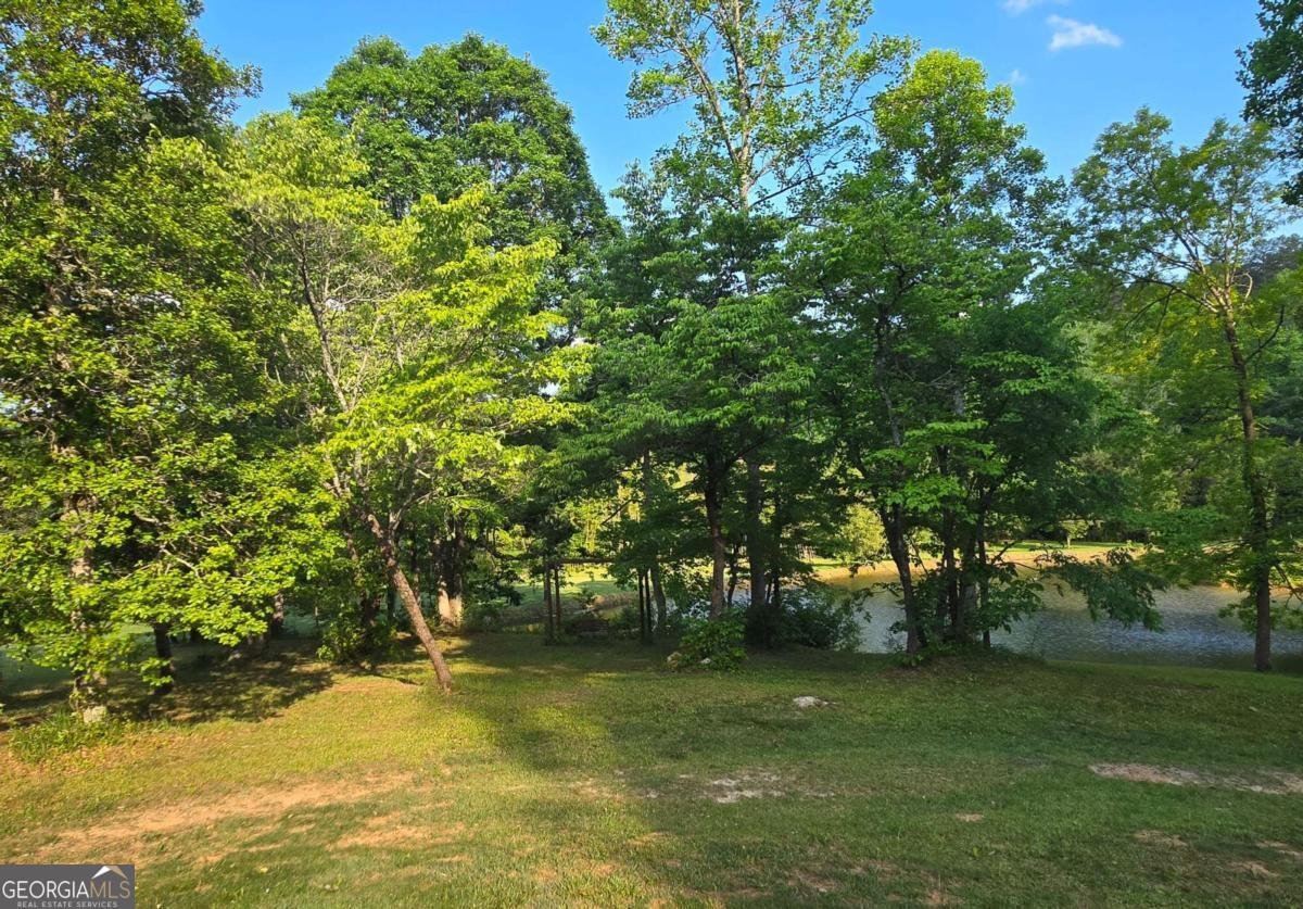 3800 Cutcane Road Mineral Bluff - Photo 8