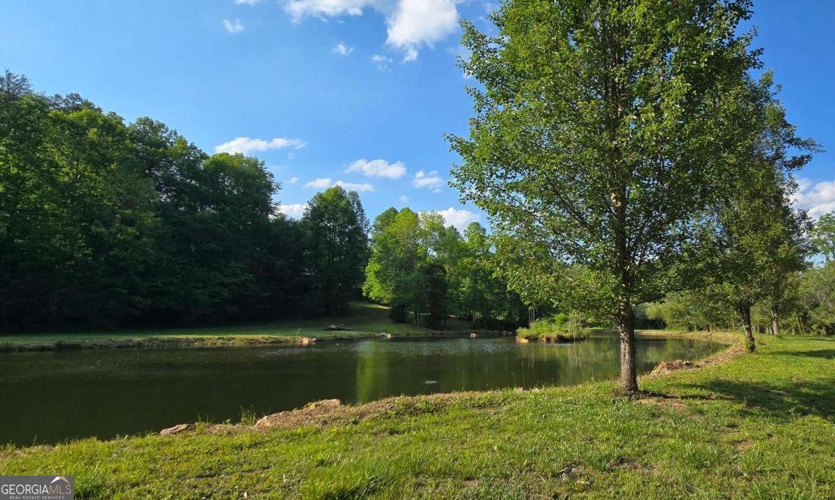 3800 Cutcane Road Mineral Bluff - Photo 9