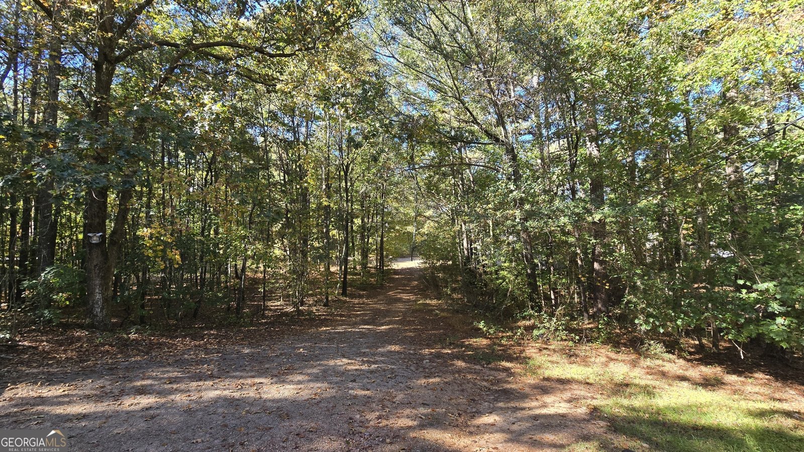 377 Dock Hyde Rd Carrollton - Photo 16