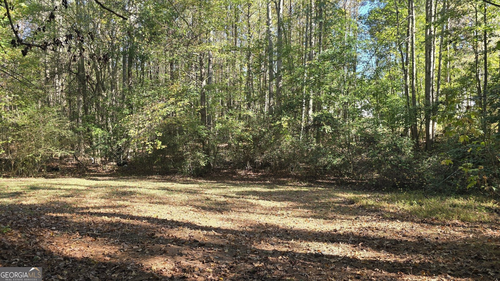 377 Dock Hyde Rd Carrollton - Photo 33