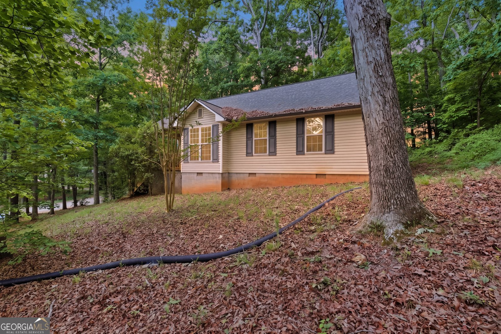 221 Eden Woods Clarkesville - main photo