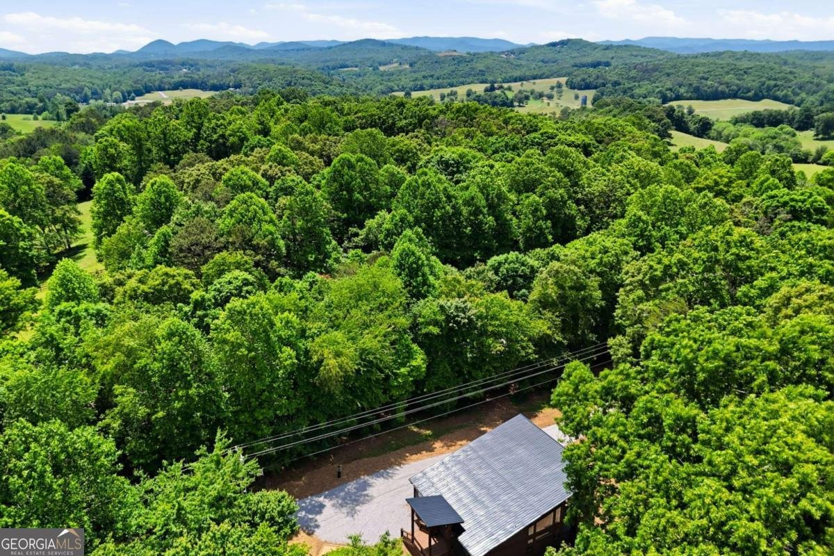 20 Amherst Trail Blue Ridge - Photo 39