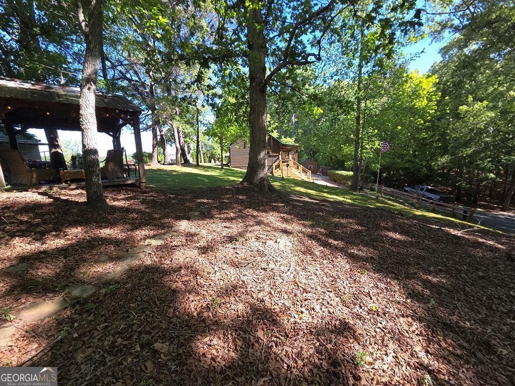 854 Rizzitello Lane Blairsville - Photo 41