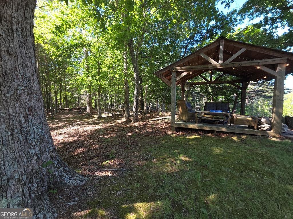 854 Rizzitello Lane Blairsville - Photo 42