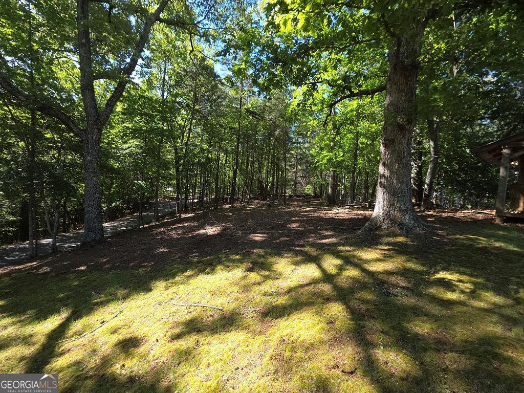 854 Rizzitello Lane Blairsville - Photo 43