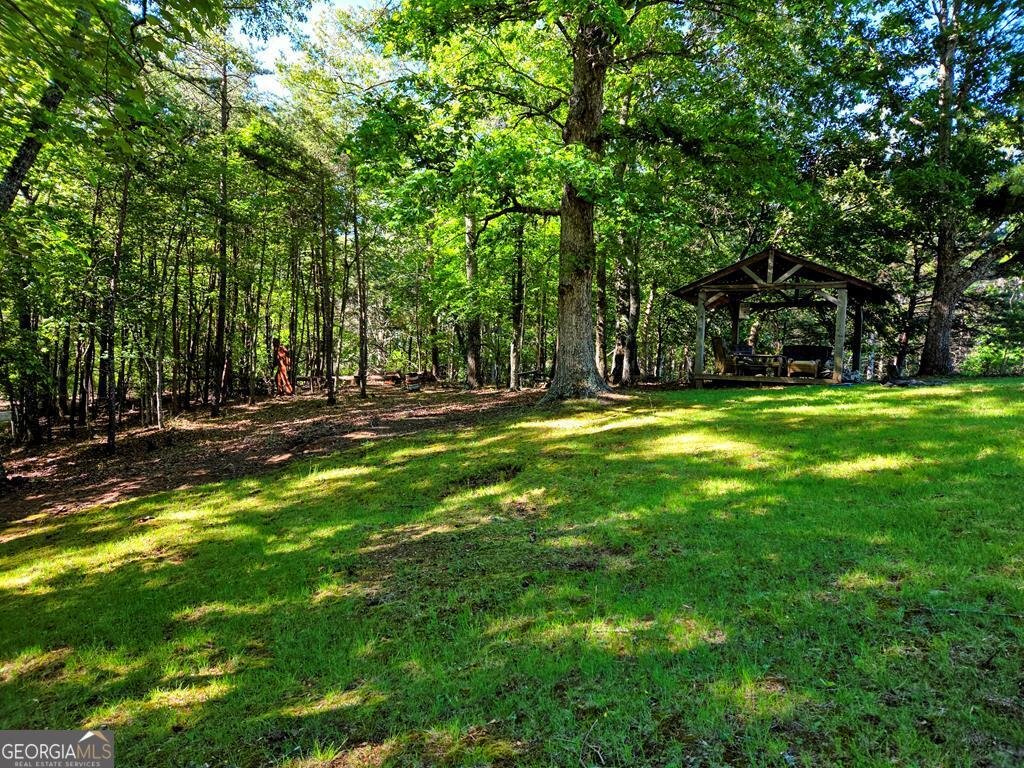 854 Rizzitello Lane Blairsville - Photo 44