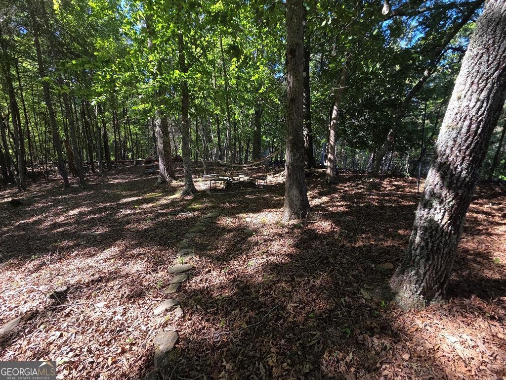 854 Rizzitello Lane Blairsville - Photo 45