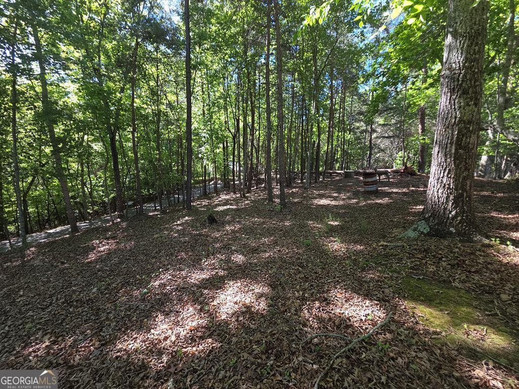 854 Rizzitello Lane Blairsville - Photo 46