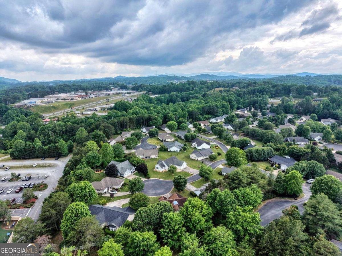 22 Sunset Court Blue Ridge - Photo 40