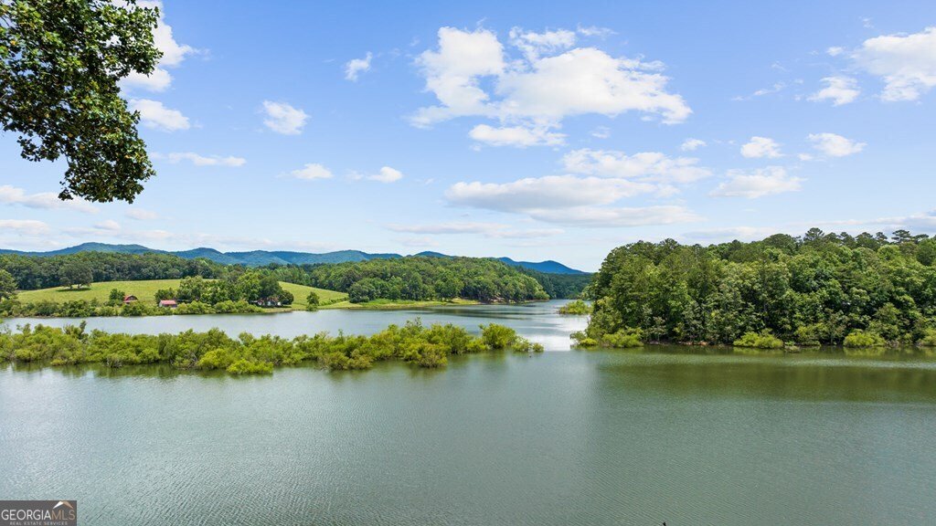 119 Jasmine Lane Blairsville - Photo 55
