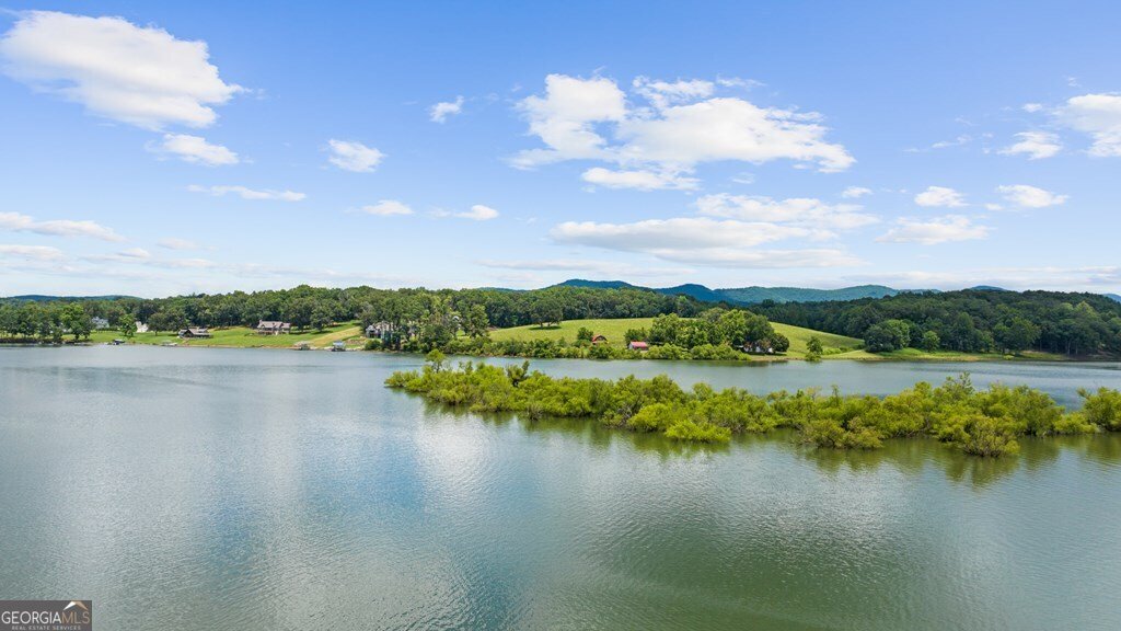 119 Jasmine Lane Blairsville - Photo 59