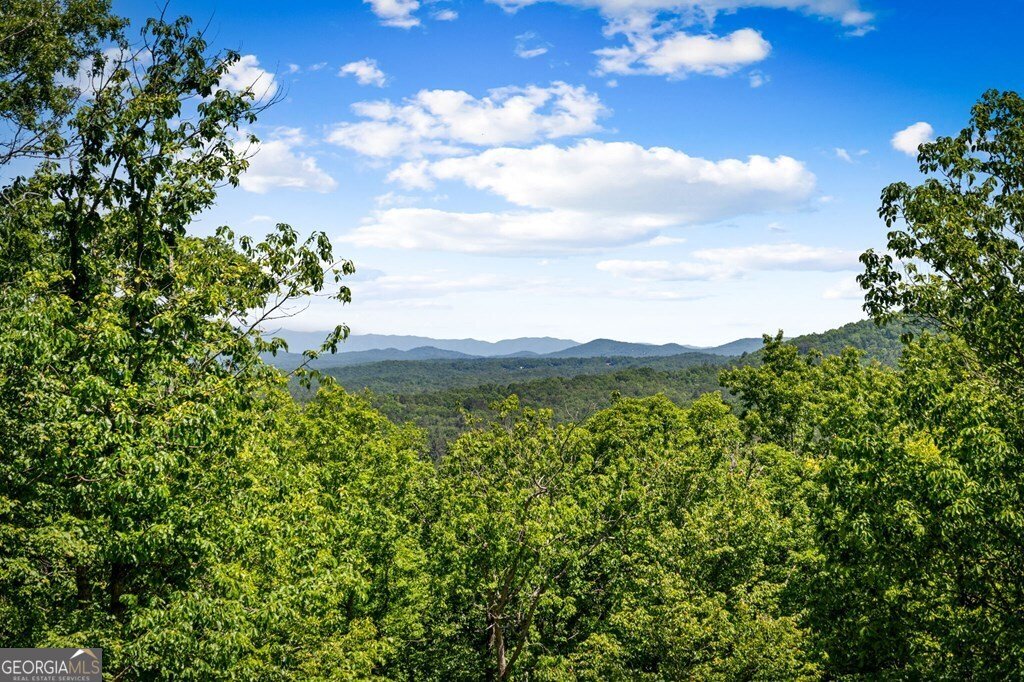 760 River Bend Lane Blue Ridge - Photo 101