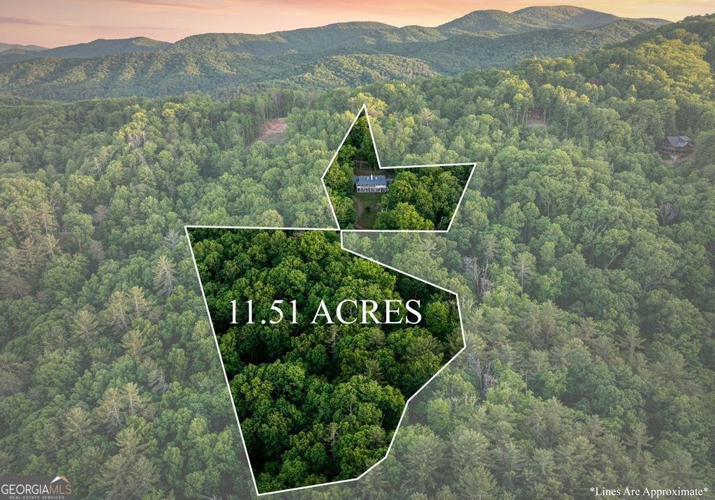760 River Bend Lane Blue Ridge - Photo 11
