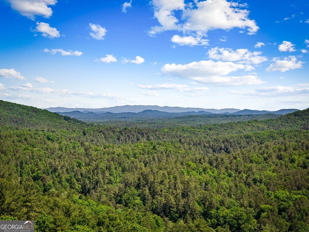 760 River Bend Lane Blue Ridge - Photo 85